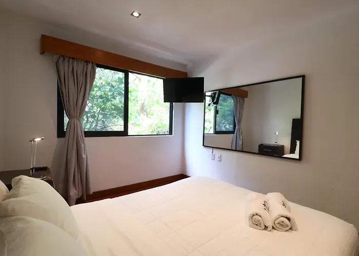 Aparthotel Sanrafa Polanco I