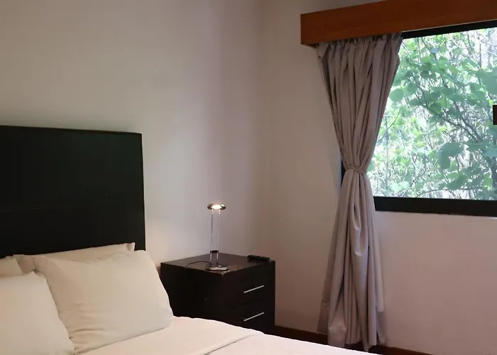 Aparthotel Sanrafa Polanco I *